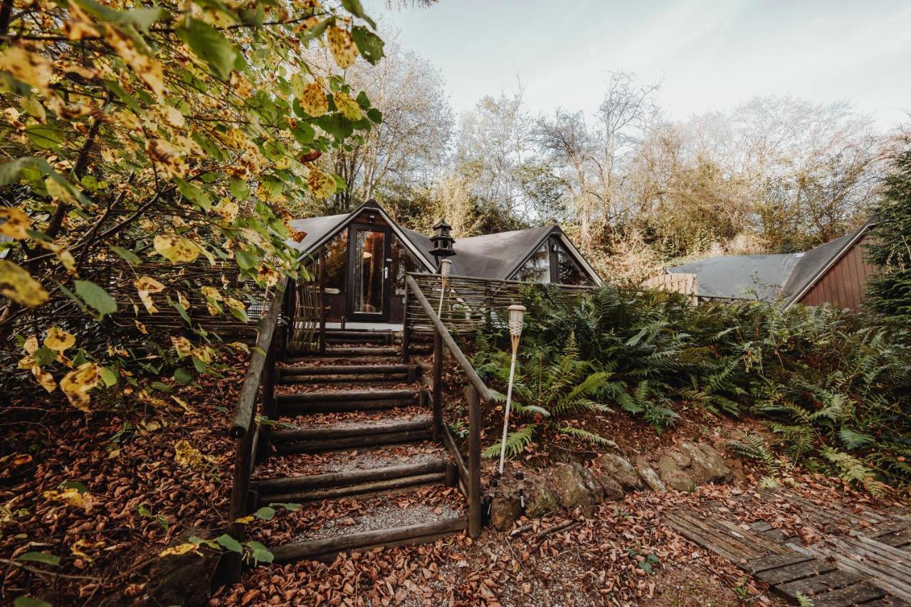 Chalet Scandinave Avec Sauna Ir - In The Woods Gesves Exterior photo